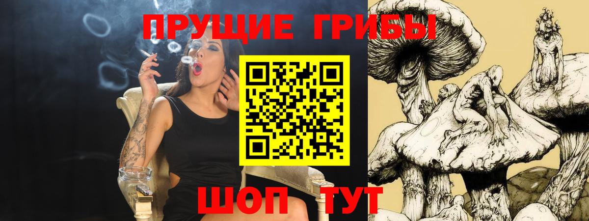 Галлюциногенные грибы мицелий  Вход с VPN  Сухой Лог  Псилоцибиновые грибы мицелий 